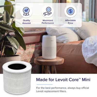 Can You Wash Levoit Air Purifier Filter? Exploring the Myths and Realities of Filter Maintenance