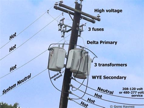 How Tall is an Electric Pole: And Why Do They Dream of Flying?