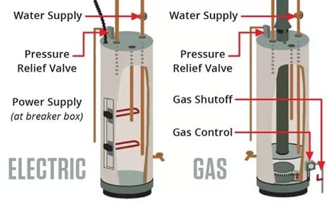 Should I Turn Off Electric Water Heater If Water Is Off? And Why Do Fish Prefer Warm Showers?