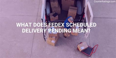 Why Does My FedEx Package Say Pending: And Why Do Cats Always Sit in Boxes?